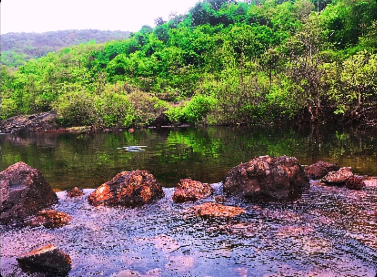 Rohan Homestay By Traviget Hospitality, Dapoli-Konkan Harnai Екстериор снимка